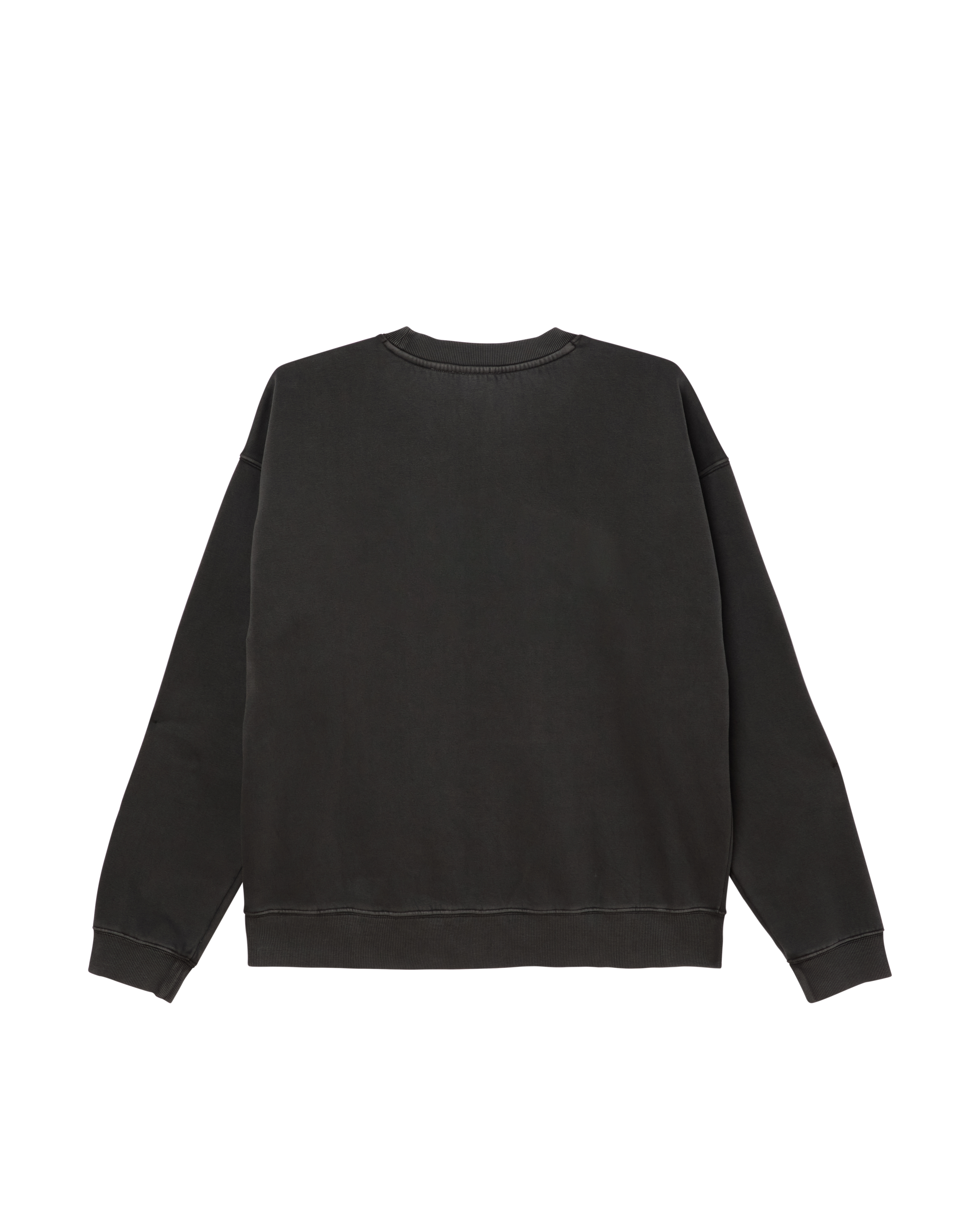 COLLEGIATE PIGMENT CREWNECK (zoomed)