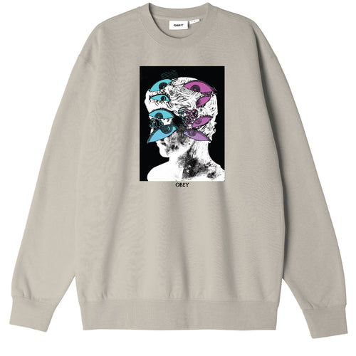 EYES MASK BOX FIT CREWNECK