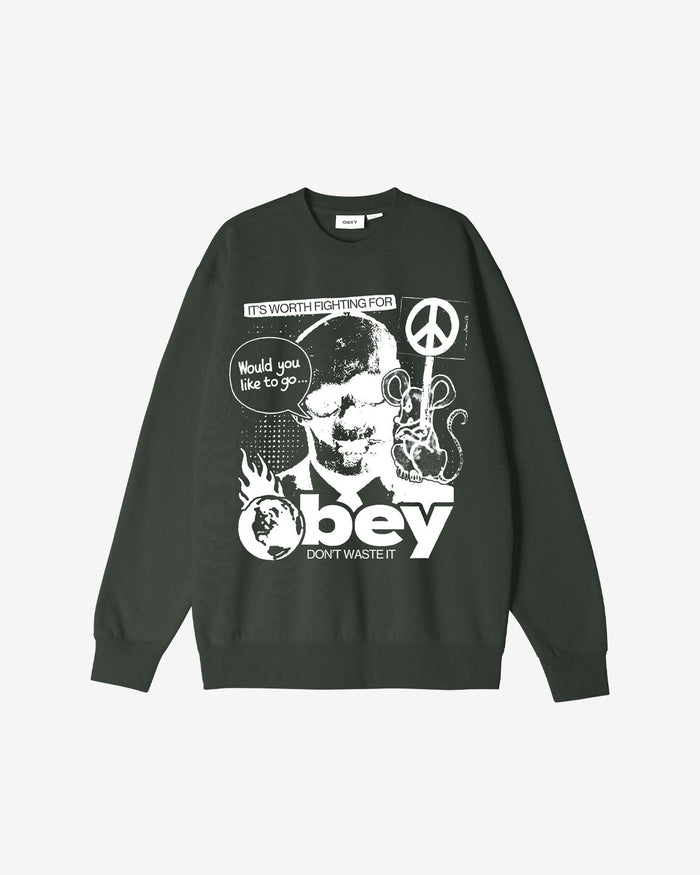 obey dont waste it crewneck rosin