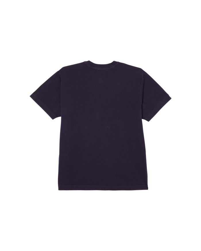 COLLEGIATE PIGMENT T-SHIRT - alternate view
