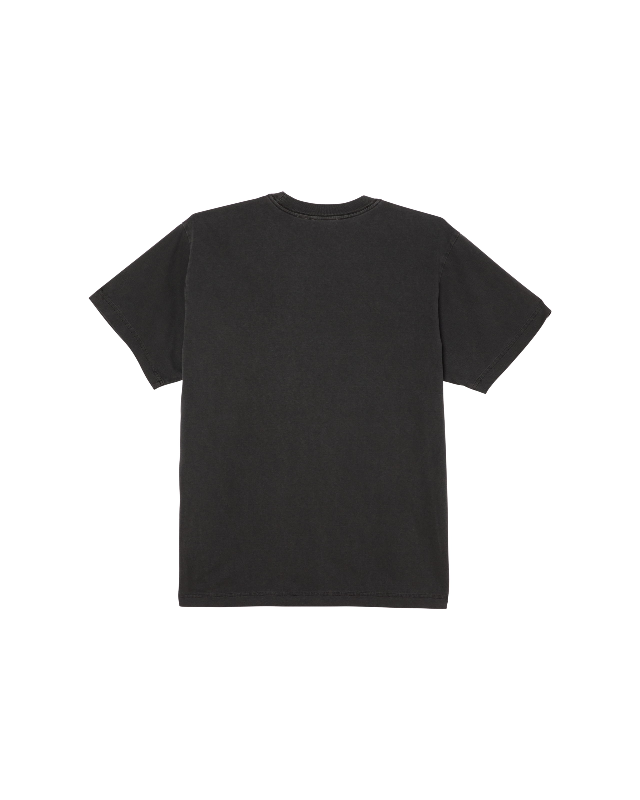 COLLEGIATE PIGMENT T-SHIRT (zoomed)