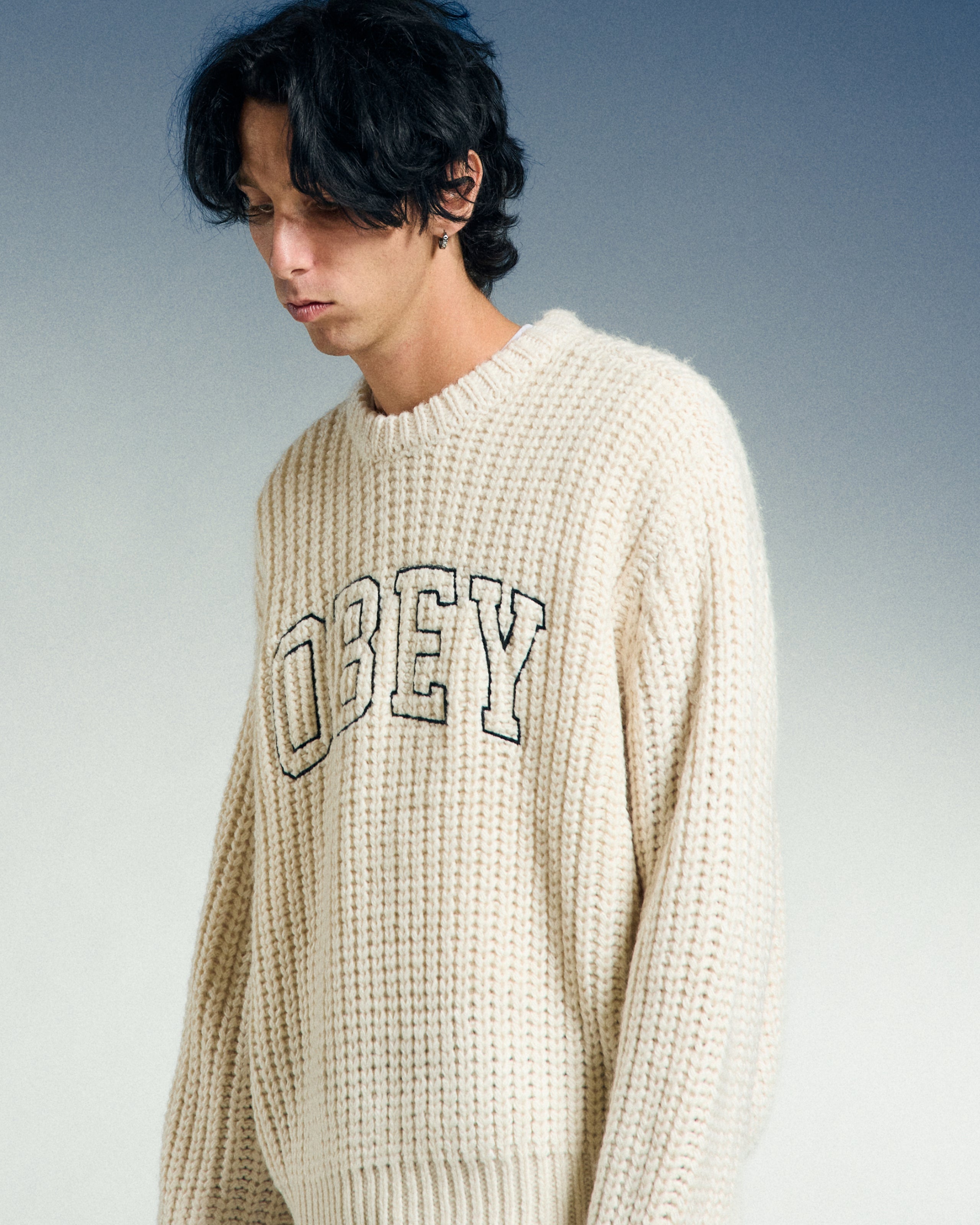 COLLEGIATE SWEATER (zoomed)