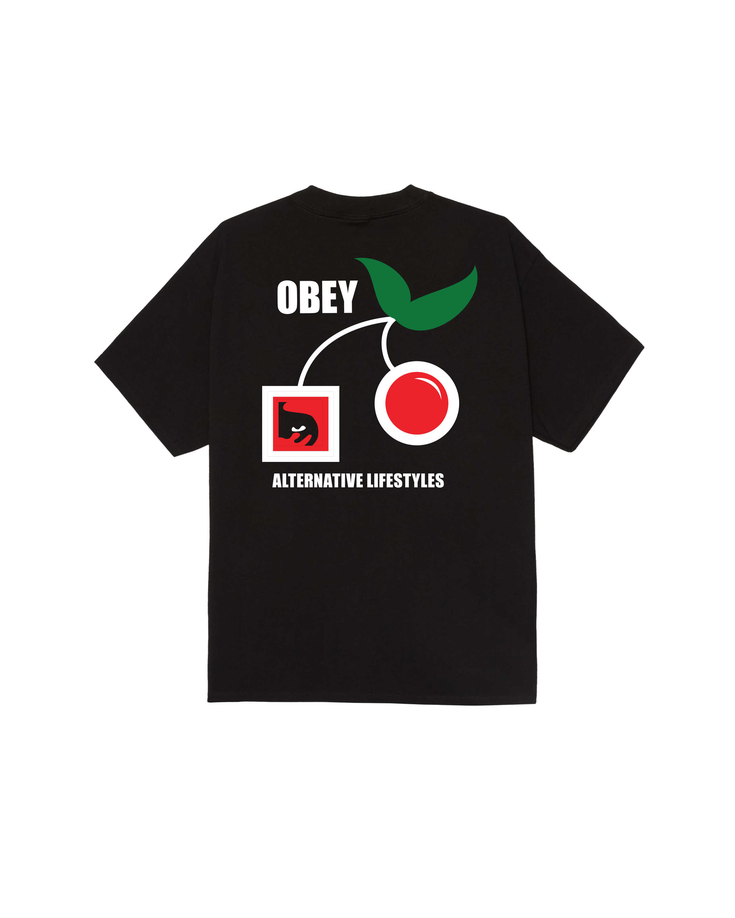 obey-alternative-lifestyles-classic-t-shirt-black (zoomed)