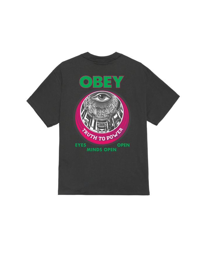 TRUTH TO POWER CLASSIC T-SHIRT