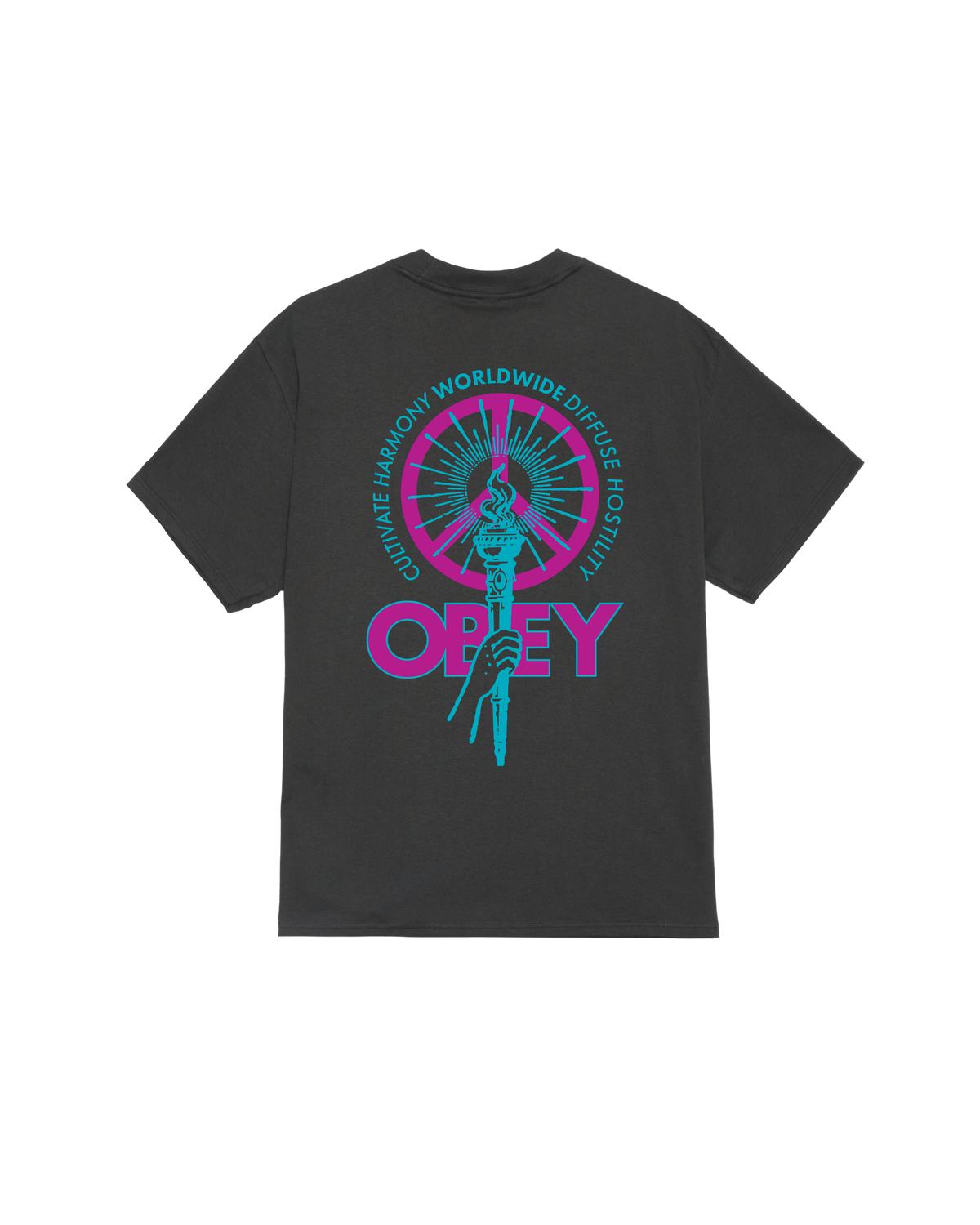 DIFFUSE HOSTILITY CLASSIC T-SHIRT (zoomed)