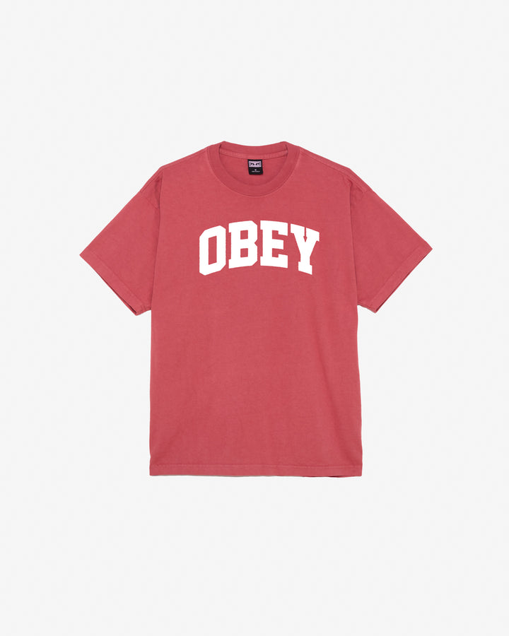 COLLEGIATE HEAVYWEIGHT T-SHIRT MINERAL RED