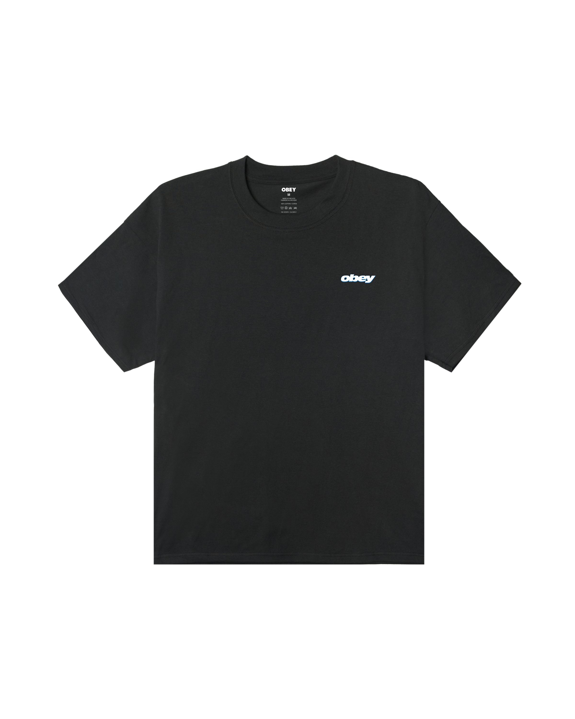 LIPS HEAVYWEIGHT T-SHIRT (zoomed)