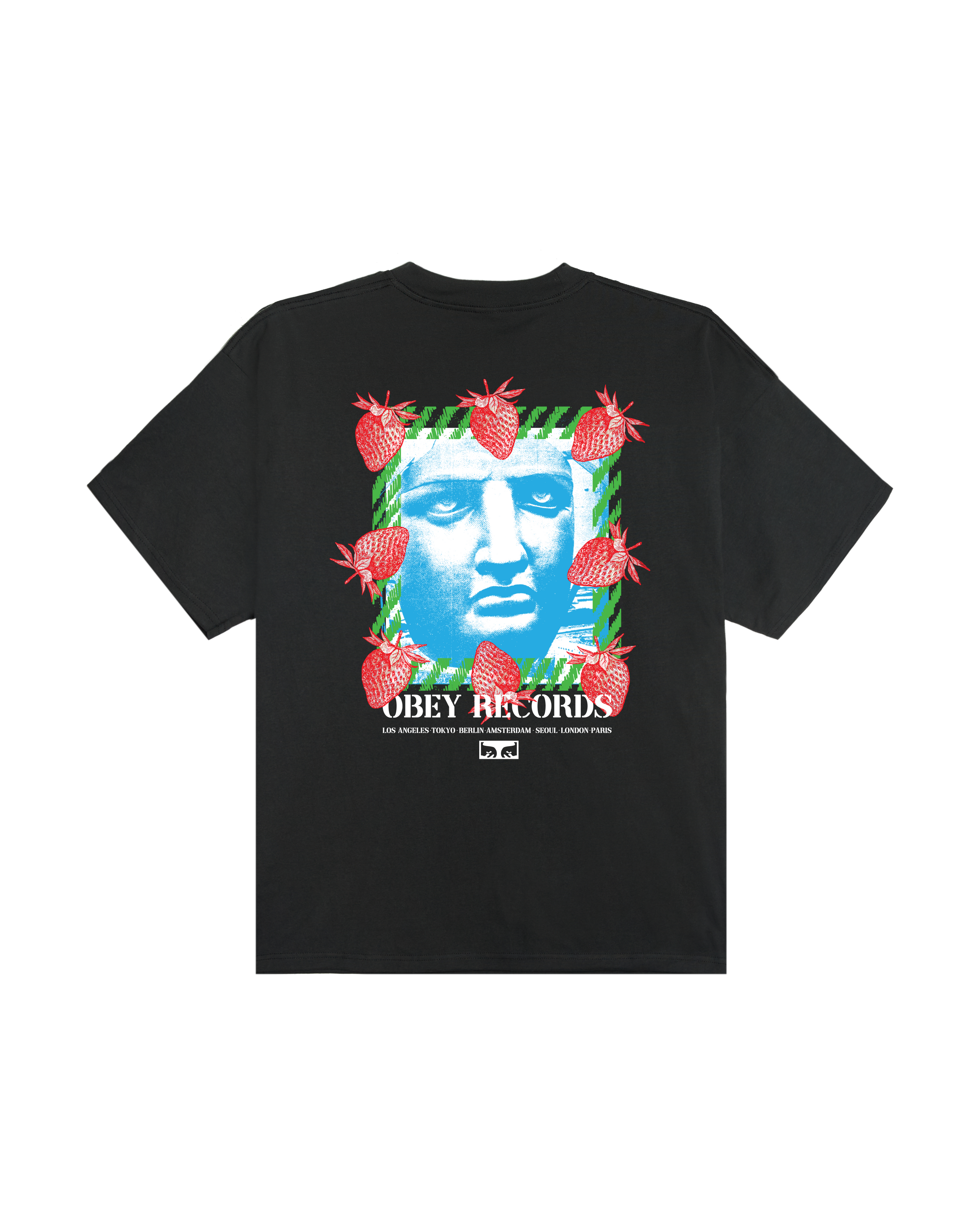 obey garden heavyweight t-shirt vintage black (zoomed)