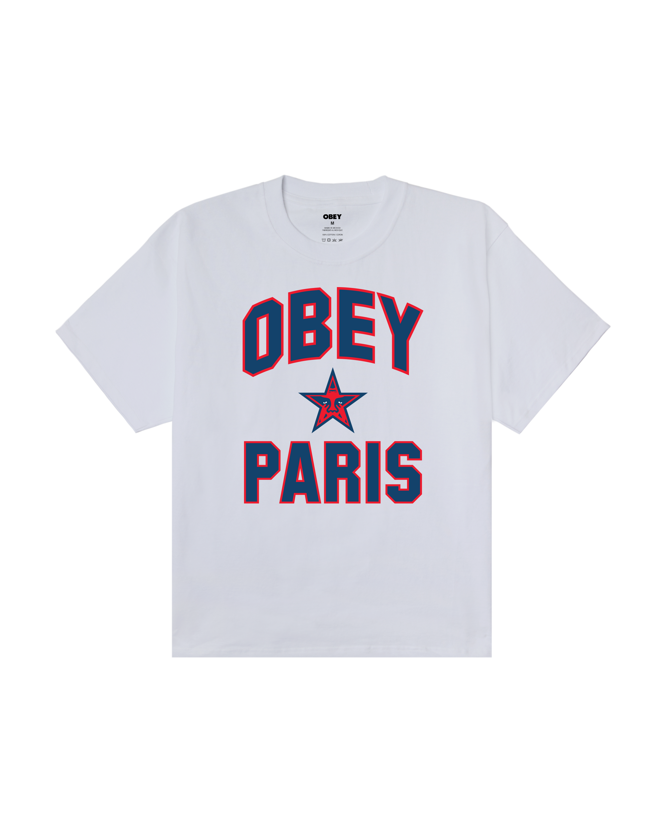 PARIS CITY STAR HEAVYWEIGHT T-SHIRT (zoomed)