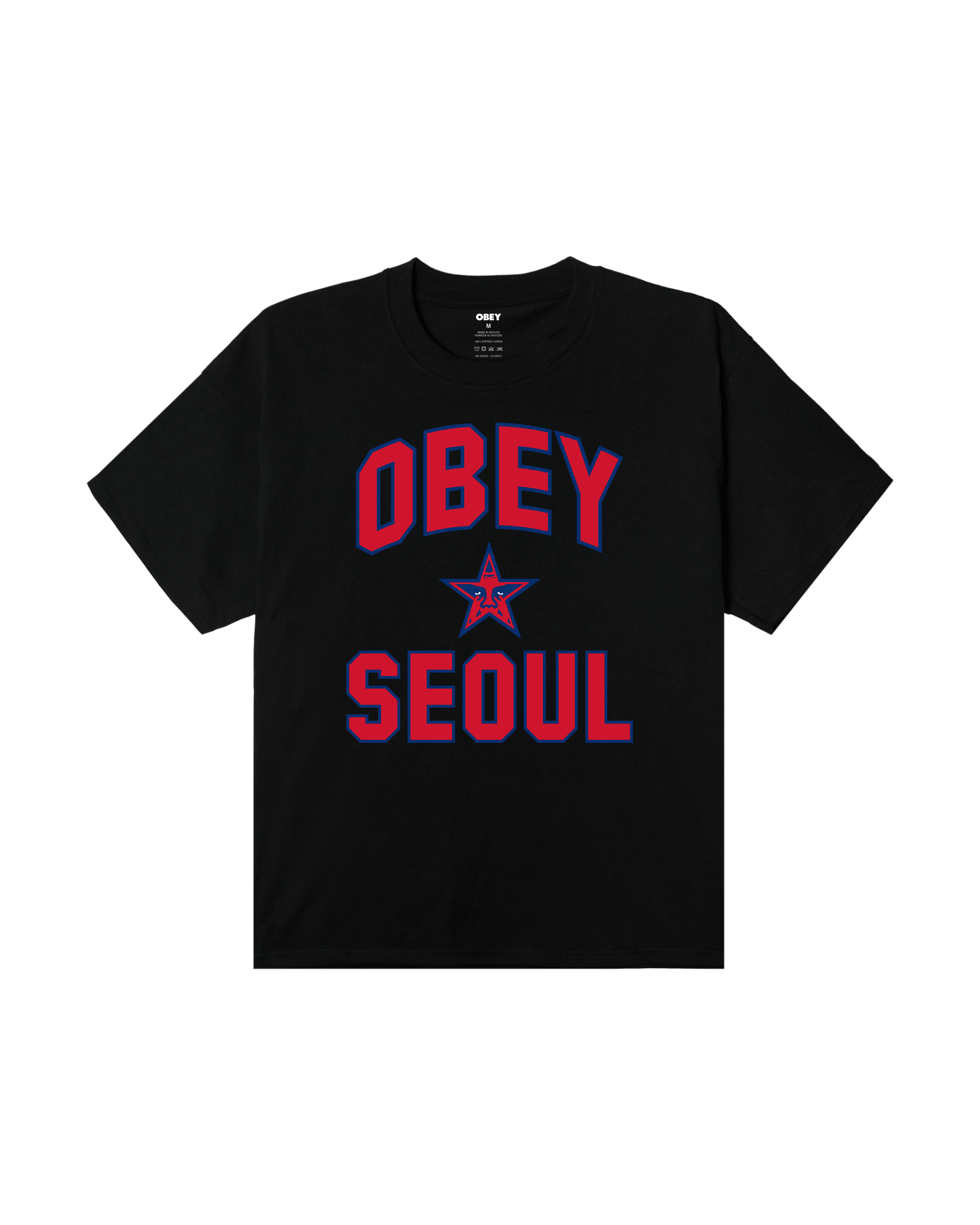SEOUL CITY STAR HEAVYWEIGHT T-SHIRT (zoomed)