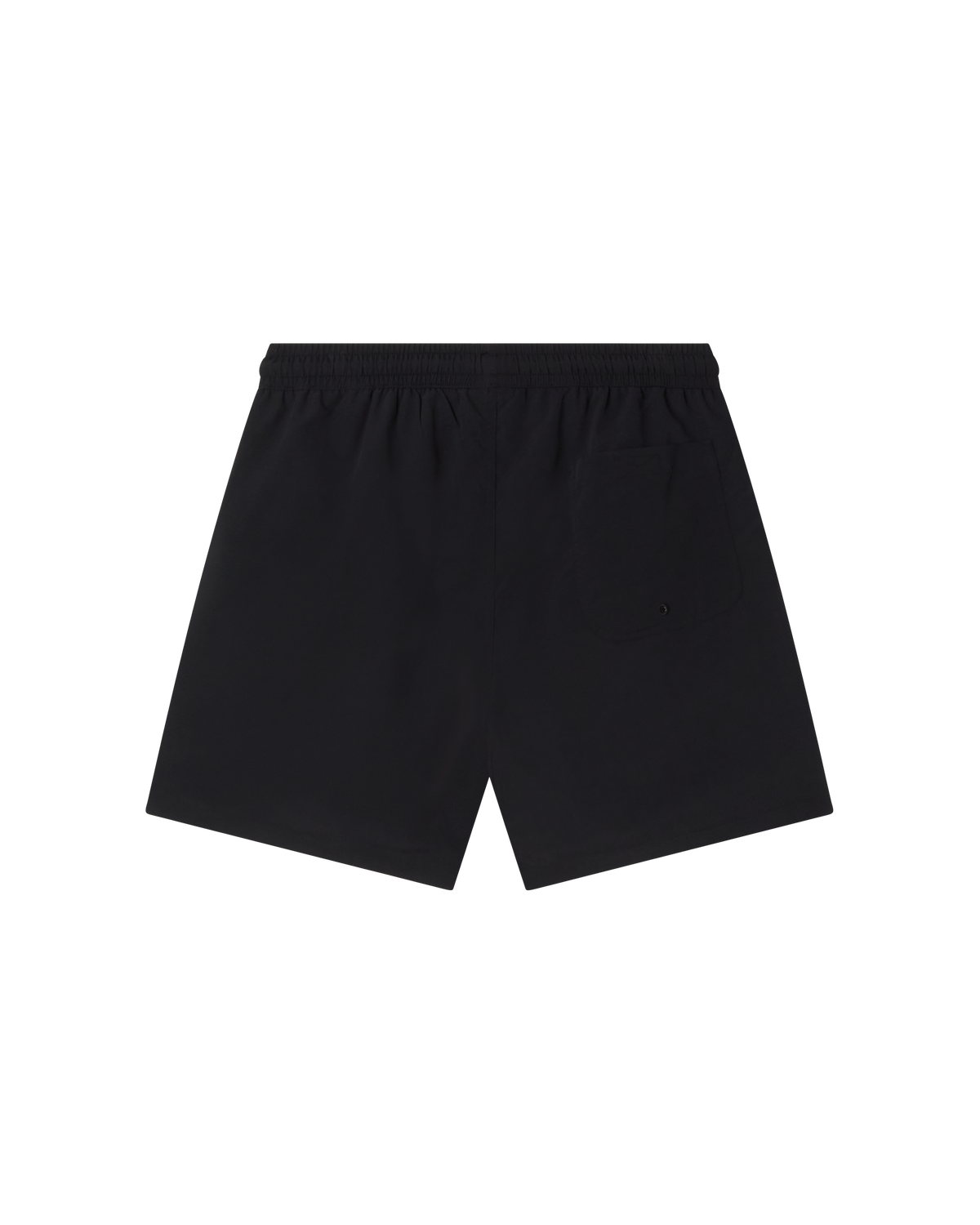 obey daily water short black