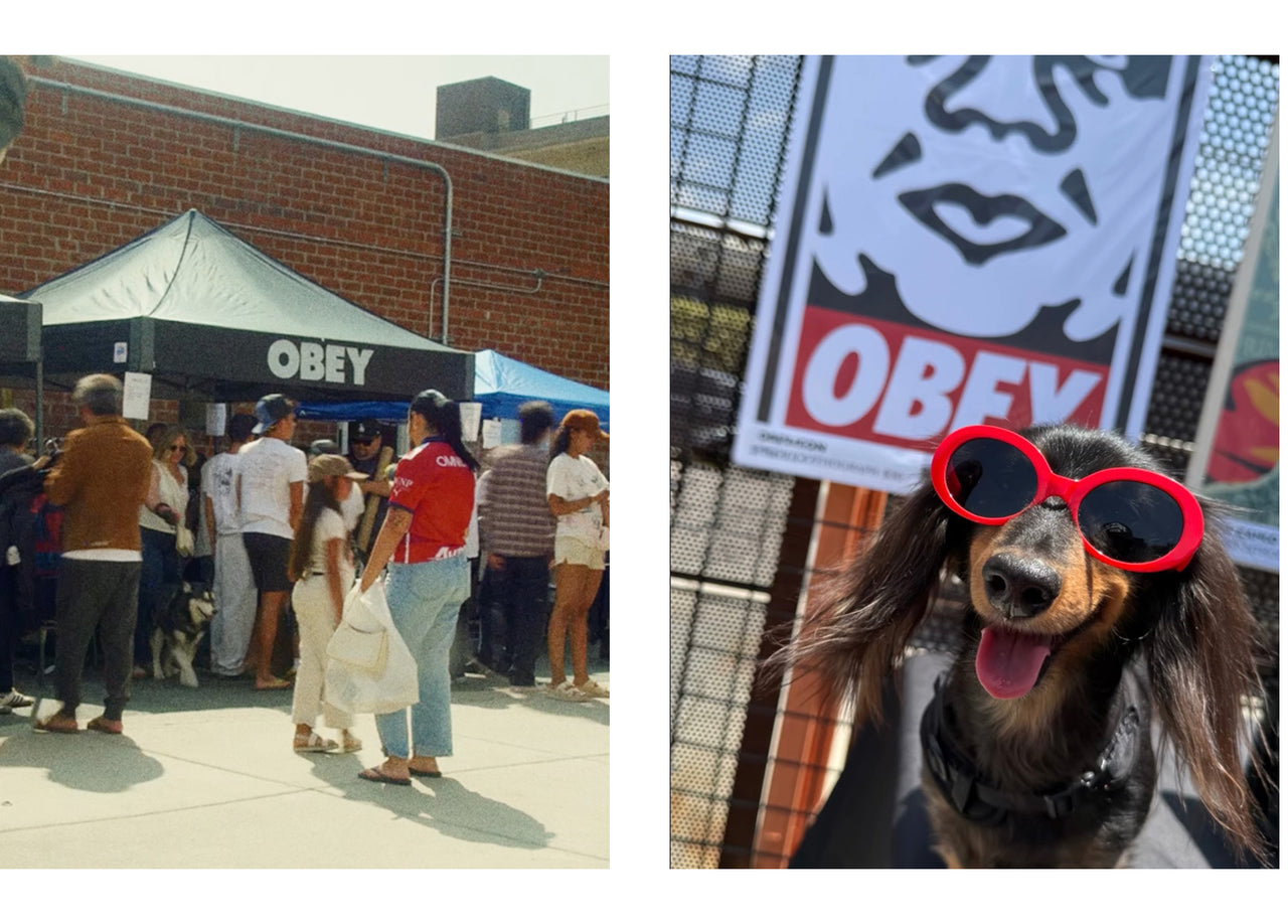 Outdoor event with people and tents, including an 'OBEY' brand tent, and a dog wearing red sunglasses with 'OBEY' branding.