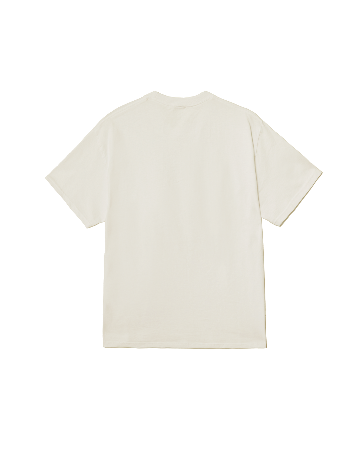 SPIDER CLASSIC T-SHIRT (zoomed)