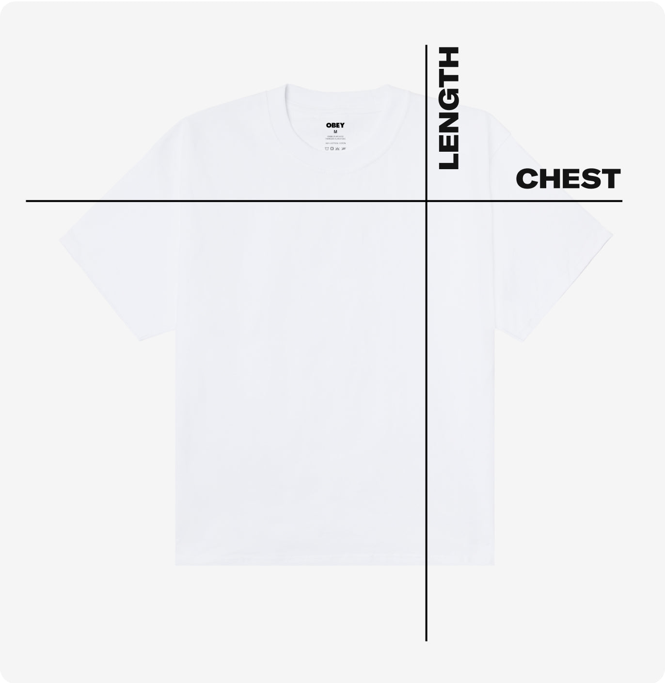 KNOW THYSELF HEAVYWEIGHT T-SHIRT – OBEY CLOTHING