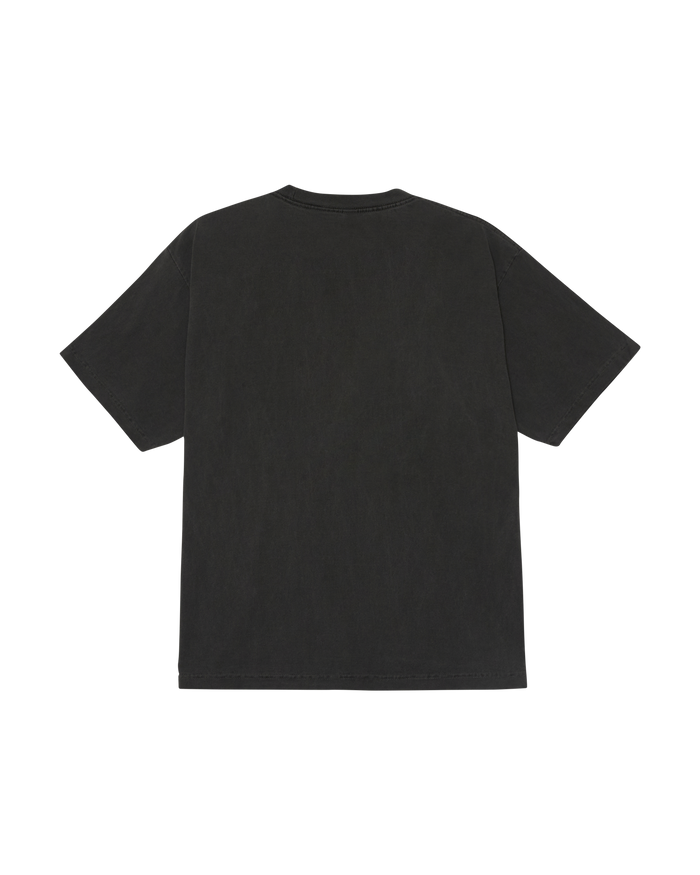 DESTROYED ICON PHOTO PIGMENT T-SHIRT - alternate view
