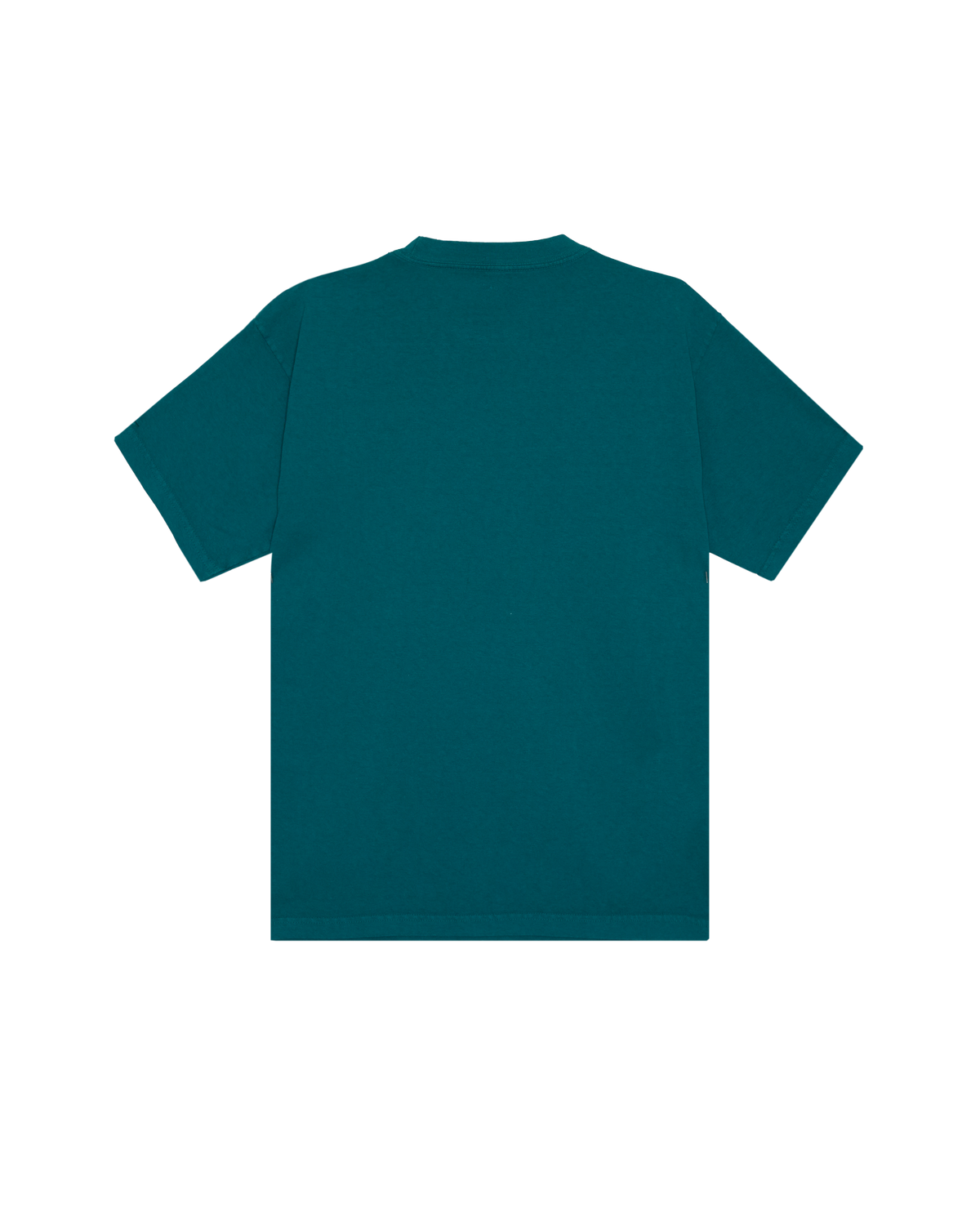 VISUAL DISRUPTION PIGMENT T-SHIRT