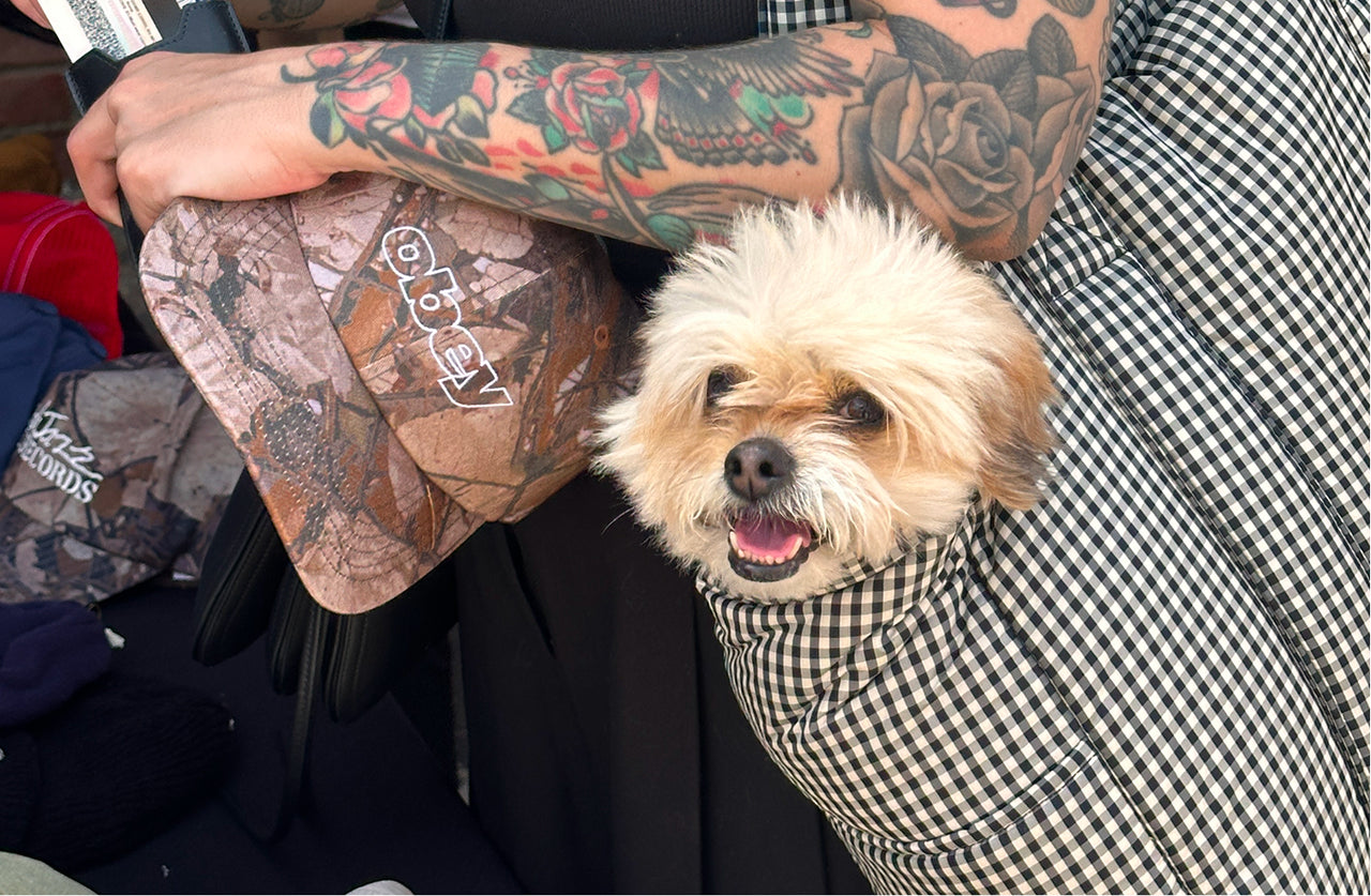 Dog in checkered bag and person holding it, surrounded by various items including hats and clothing.