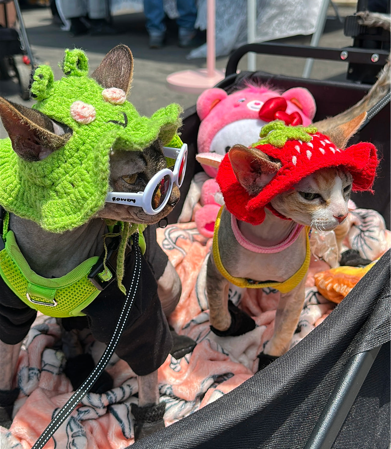 Two cats wearing costumes in a stroller, one in a green dragon costume and the other in a strawberry hat.