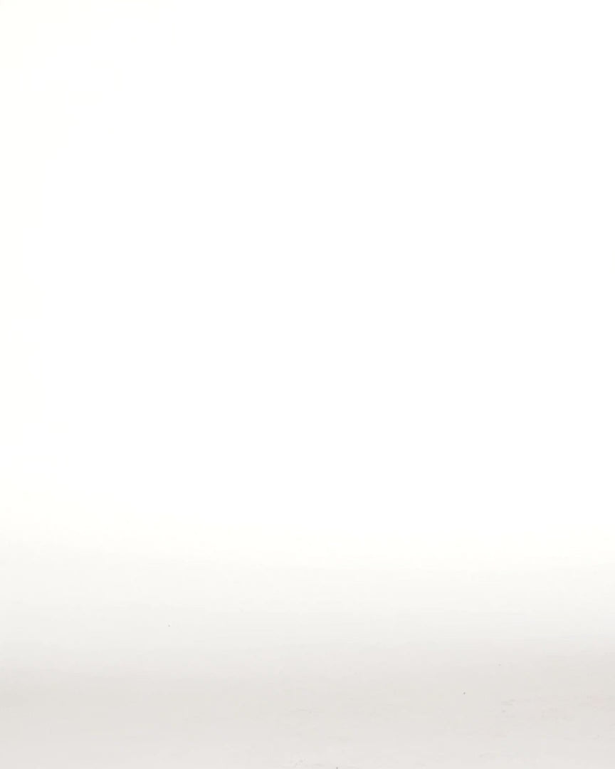 HARDWORK CARPENTER PANT - video