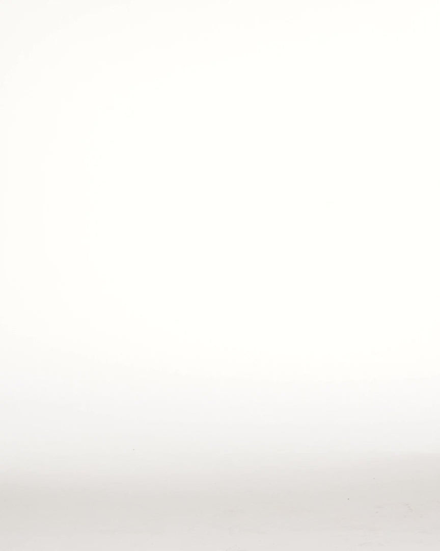 BIGWIG GIANT CHINO PANT - video