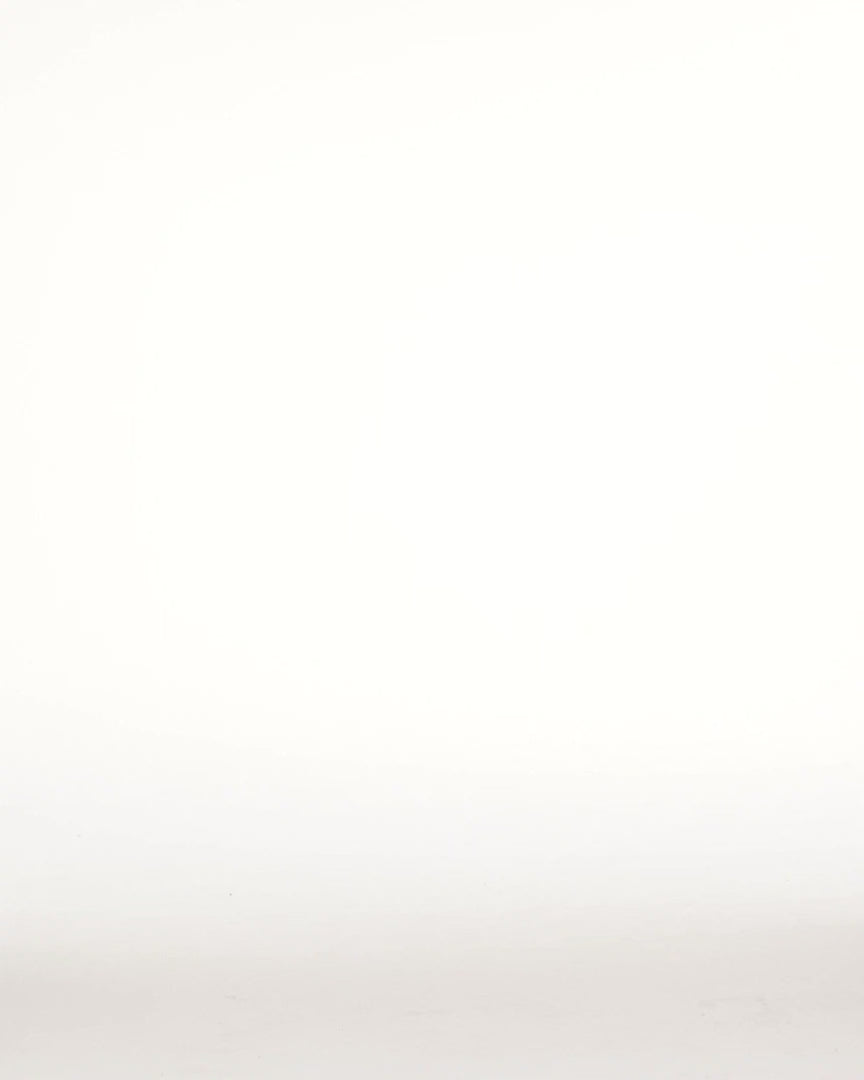 BIGWIG CARPENTER UTILITY DENIM - video