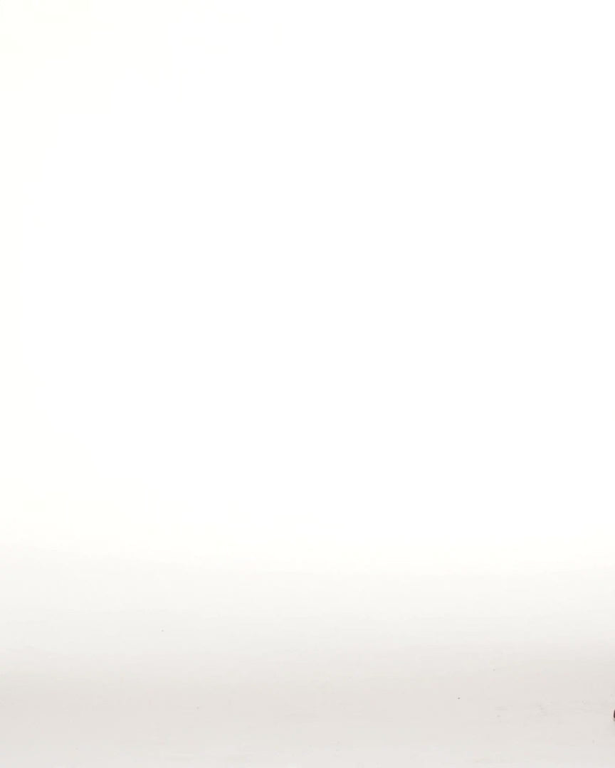 DEAN STRIPE PLEATED PANT - video